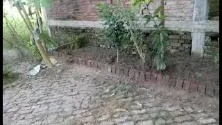 Video_Cutter-26614.mp4