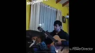 Perro Vomitando Con Sonido Al Vomitar