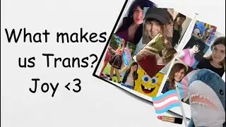 What makes us Transgender? All I know is I'm happier