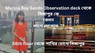 Marina Bay Sands er Observation deck থেকে সিঙ্গাপুর II Dreamcatcher