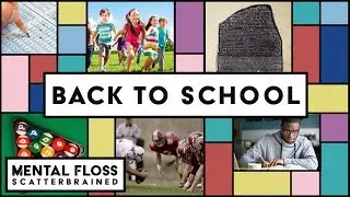 The Surprising History of School! - Mental Floss Scatterbrained | Mental Floss
