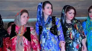 #Zamawand #Arosi Kurdi #bestkurdishdance