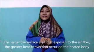 Mini Project Transport Process- Convection Heat Transfer