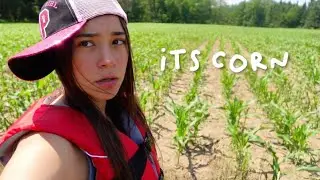 vlog of my freaking life
