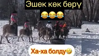 Эшек улак😳/ Бул балдар интернетти жарды😂