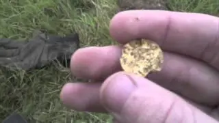 FIND OF A LIFETIME! Medieval Hammered Gold Coin (2012)