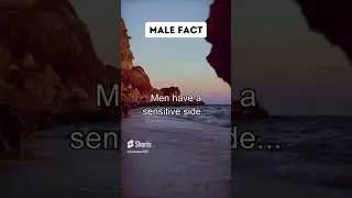 Men have a sensitive side... | @factopus365