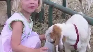 Funny Babies in Zoo | funny video | fun tube