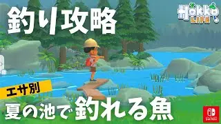 【ホッコライフ】釣り検証！池で釣れる魚をエサ別に調査【攻略】