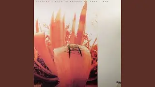 Streetbuzz (The Prunes Remix Instrumental)