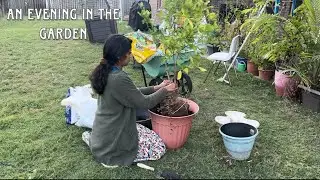 Quiet Evening in the Garden | Peaceful simple living | Little joys | Nature love 