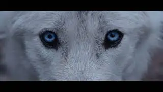 The Blood Race Series: Worlds Beneath Official Trailer #1