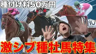 カカカ！カミデチャンネル地方競馬で活躍する種牡馬特集！種付け料50万円の激シブ種牡馬特集！　#157
