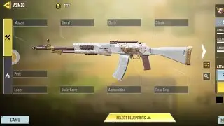 Call of duty 2024 #ASM10 with no attachment and perk