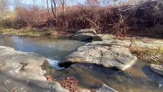 Waterfront Land on Keshequa Creek and Mature Forest 25 acres in Portage NY Clancy Road