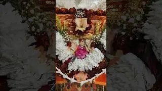 मां श्री लक्ष्मी की जय 🙏🪷 #laxmi  #jaimatadi #bhakti #laxmimantra #youtubeshorts #mantra #hindugod