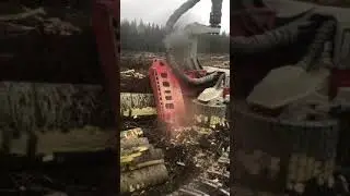 Komatsu 951 logmax 7000C 1,70 m3 i medelstam