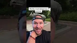 Worlds most dangerous animal | surprising