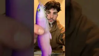 MAGDRAFT AYU TWITCHER! What do you guys think? #bassfishing #magdraft #swimbait #glidebait #fishing
