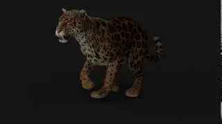 Jaguar - run cycle