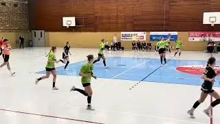 26.01.25 🤾🏼‍♀️ DHB 3. Liga Staffel Nord 1. HZ Berliner TSC-TSV Nord Harrislee