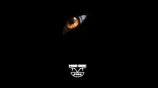 Literally (prod. Moedoe Coupe)
