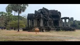 Angkor Wat , April 2014