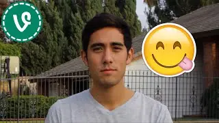 BEST VINE COMPILATION FEBRUARY #2 | Best Vines in February | VineLin