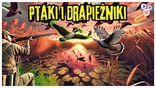 Polowanie w Salzwiesen Park 🦆 Ptactwo i zwierzyna naziemna &ndash; The Hunter COTW Live