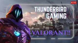 VALORANT Comp Grind Day:7.2| #valorant #livegamingindia
