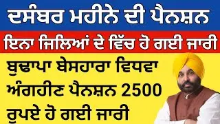 December Punjab budapa Pension news 2025, 