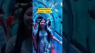 underwater tunnel expo 🐬 watch full video in my vlog playlist 💙 #fish #viral #youtube #shorts