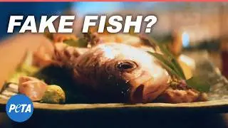 Fish-Friendly Filmmaking in BLACK BAG