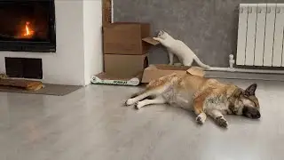 Пятница, дачники 