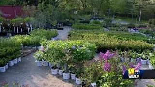Get nursery quality plants delivered to your door with Bloom Box