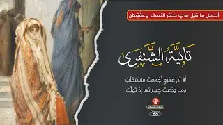 تائية الشنفرى | ألا أم عمرو أجمعت فاستقلت | مكتوبة مع الشرح