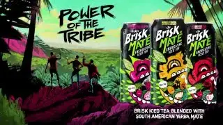 INTRODUCING: @Brisk Mate Energizing Iced Tea