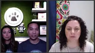 Pets+ Cool Store Interview - The Modern Paw