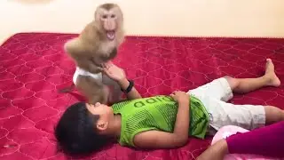 Jason Lovely Reaction Do Challenge Wake Up Brother
