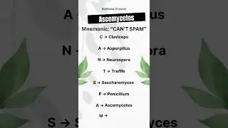 DAY 14 #Biomania #NEETBiology #FungiMnemonic #Ascomycetes #StudyTrick #BiologyShorts #NEET2026