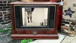 The Paper Chase - You're One of Them Aren't You? (from Now You Are One Of Us)