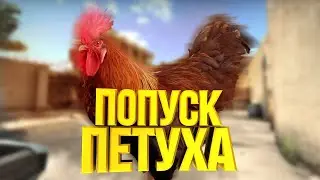 Показал псине где его место