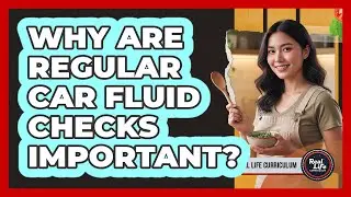 Why Are Regular Car Fluid Checks Important?