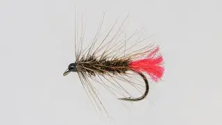 Fly Tying  - Palmered Red Tag