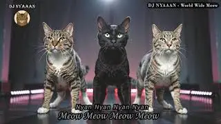 DJ NYAAAN - World Wide Meow (MV)