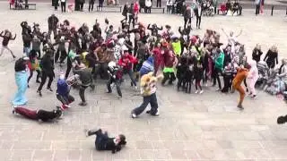 Harlem Shake | 97.4 Rock FM & Cash for Kids