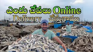 ఎండు చేపలు డైరెక్ట్ ఆన్&zwnj;లైన్  డెలివరీ 🚚 | Dry Fish Online Delivery...