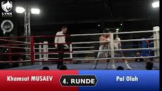 Profiboxen Kampf 16 Musaev vs Olah