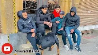 فيلم قصير : عصابة إجرامية تنتقم من مساعد شرطة ( عطوة ) (جزء 2)🗡💊