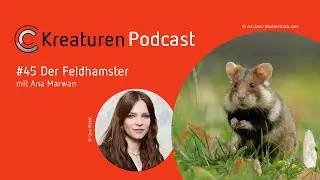 Kreaturen-Podcast – Folge 45: Der Feldhamster mit Ana Marwan